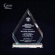 Corporate acrylic award