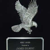 Shadow frame award